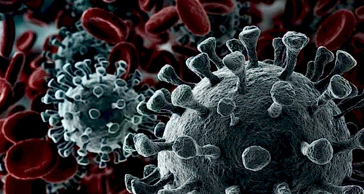 31-01-20-yef6mqszp3t2s5i